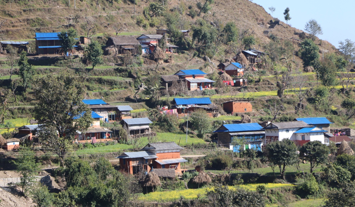 गुल्मीका १० हजार घरमा जस्तापाता